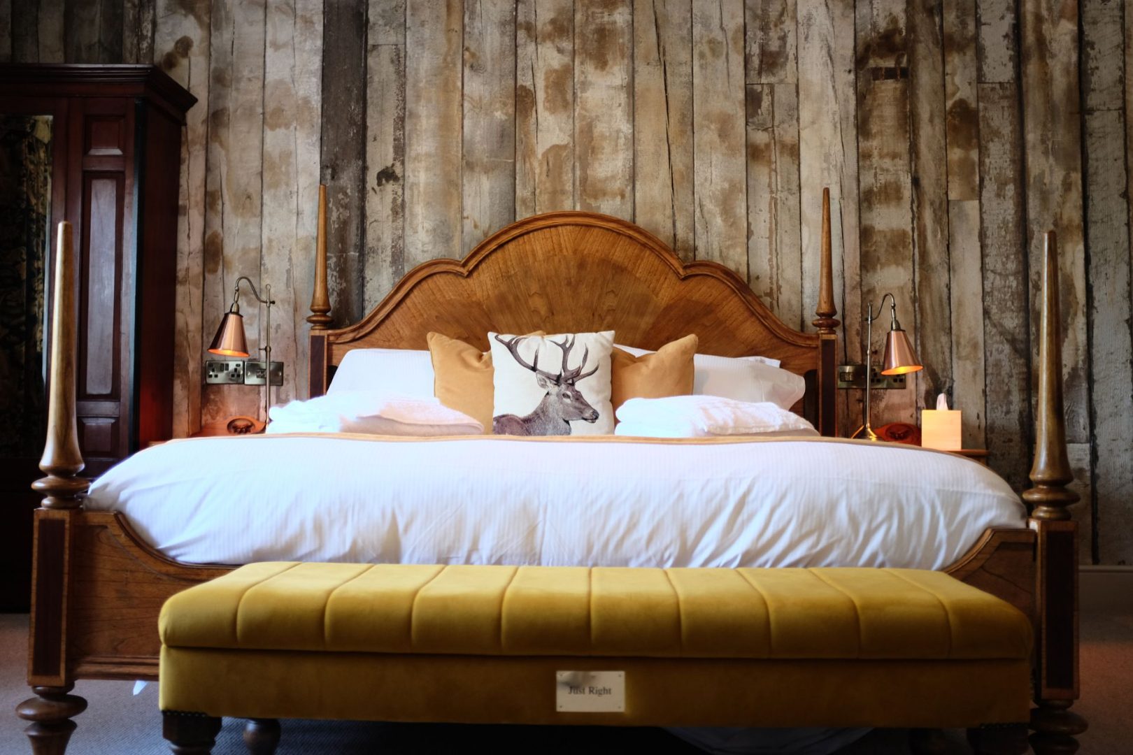 The Bear of Burton photo 4