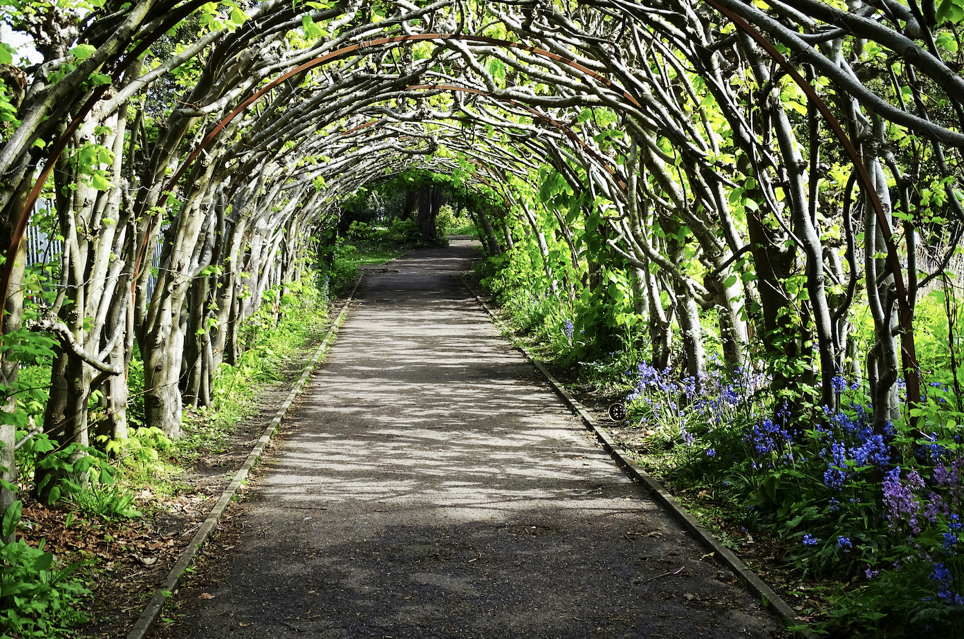 Nature & Walks in Christchurch Dorset