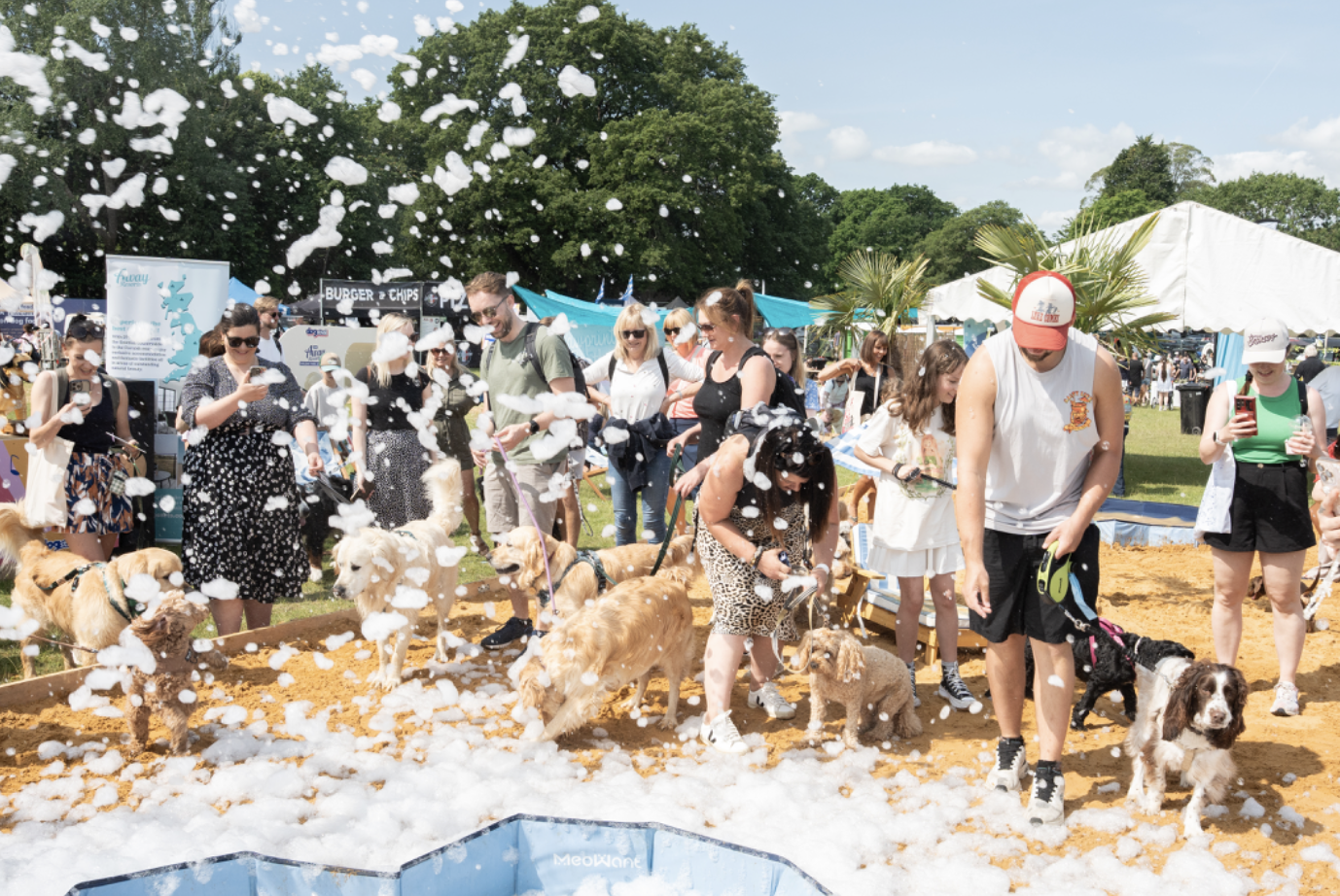 🐶 Dogstival 2026 – The Ultimate Dog Festival
