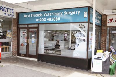 Best Friends Veterinary Surgery